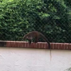 Meet your Posher, Connie